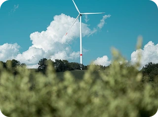 توربينات رياح ضمن مشروع GoGreen